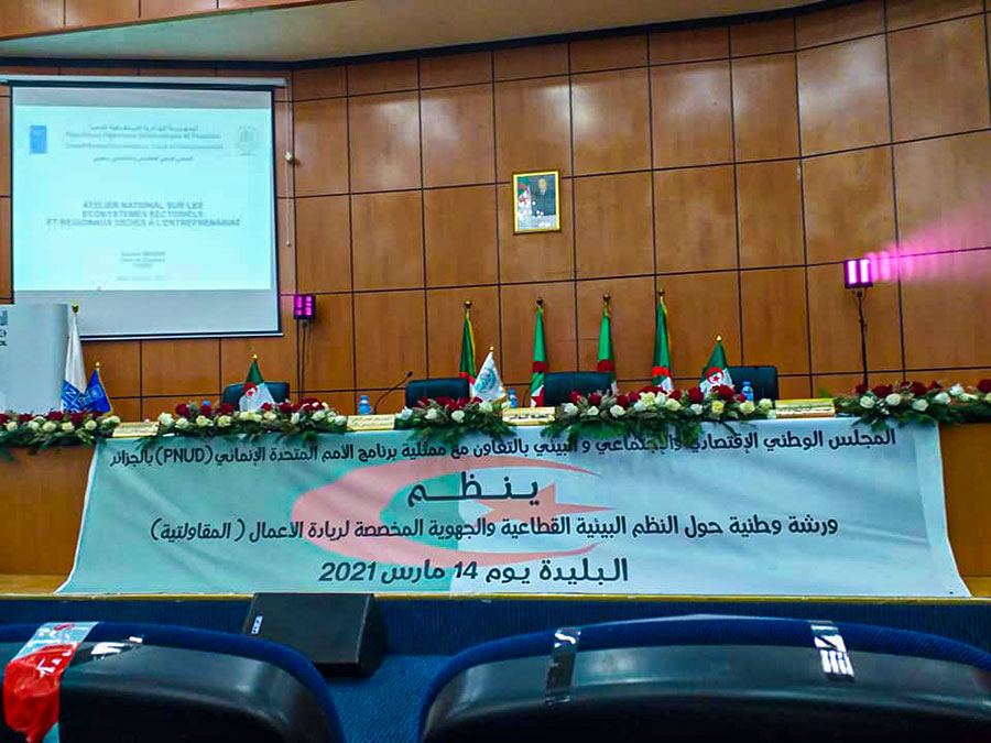 SEVE à l'atelier national sur les écosystèmes sectoriels et régionaux